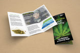 Load image into Gallery viewer, Marijuana and Driving: The Dangers of Driving High (100-Pack)
